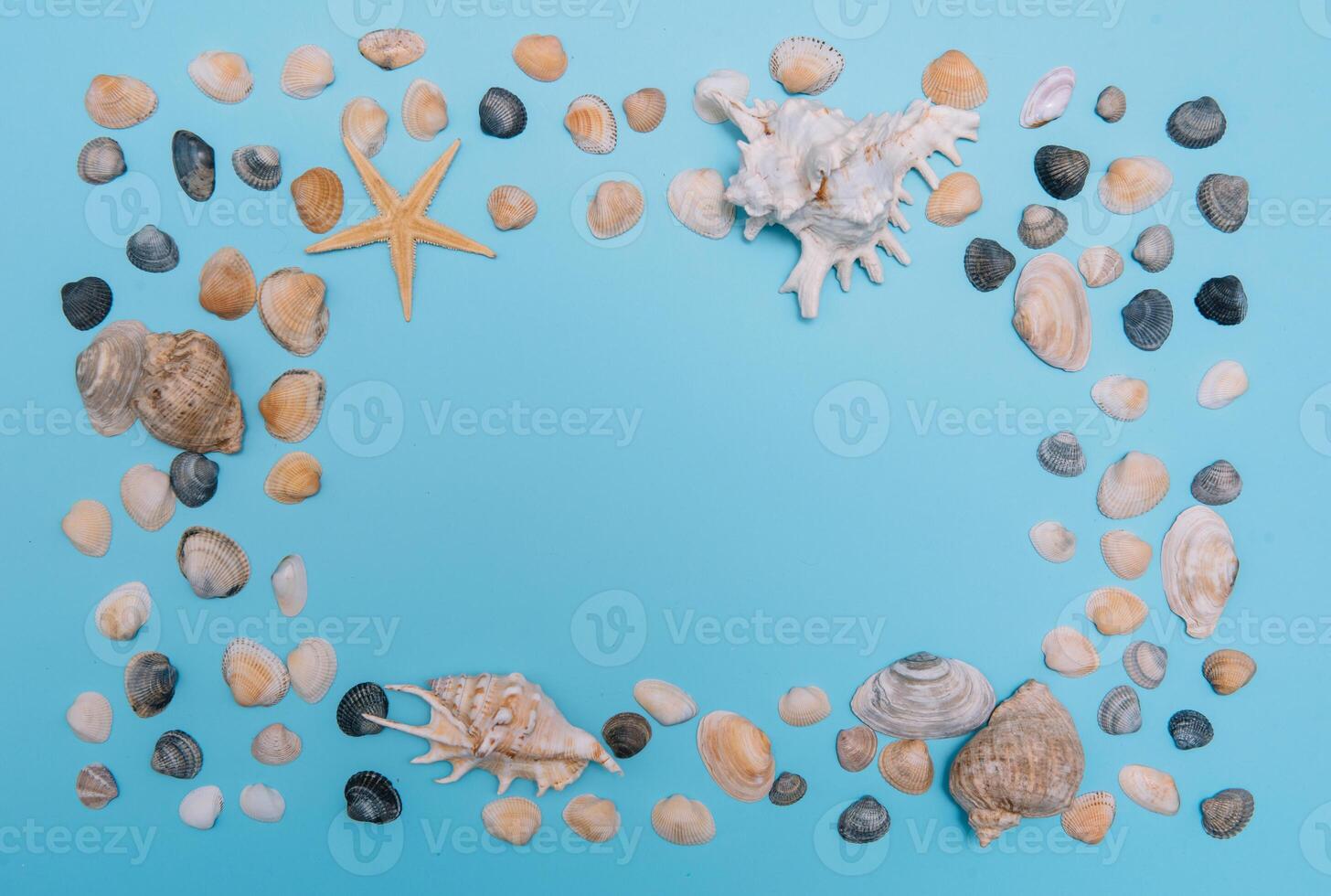 plano poner. parte superior vista. marco de conchas de varios tipos en un azul antecedentes. conchas marinas y estrella de mar y Embarcacion en un pastel antecedentes. vacaciones concepto. viaje concepto. con Copiar espacio foto