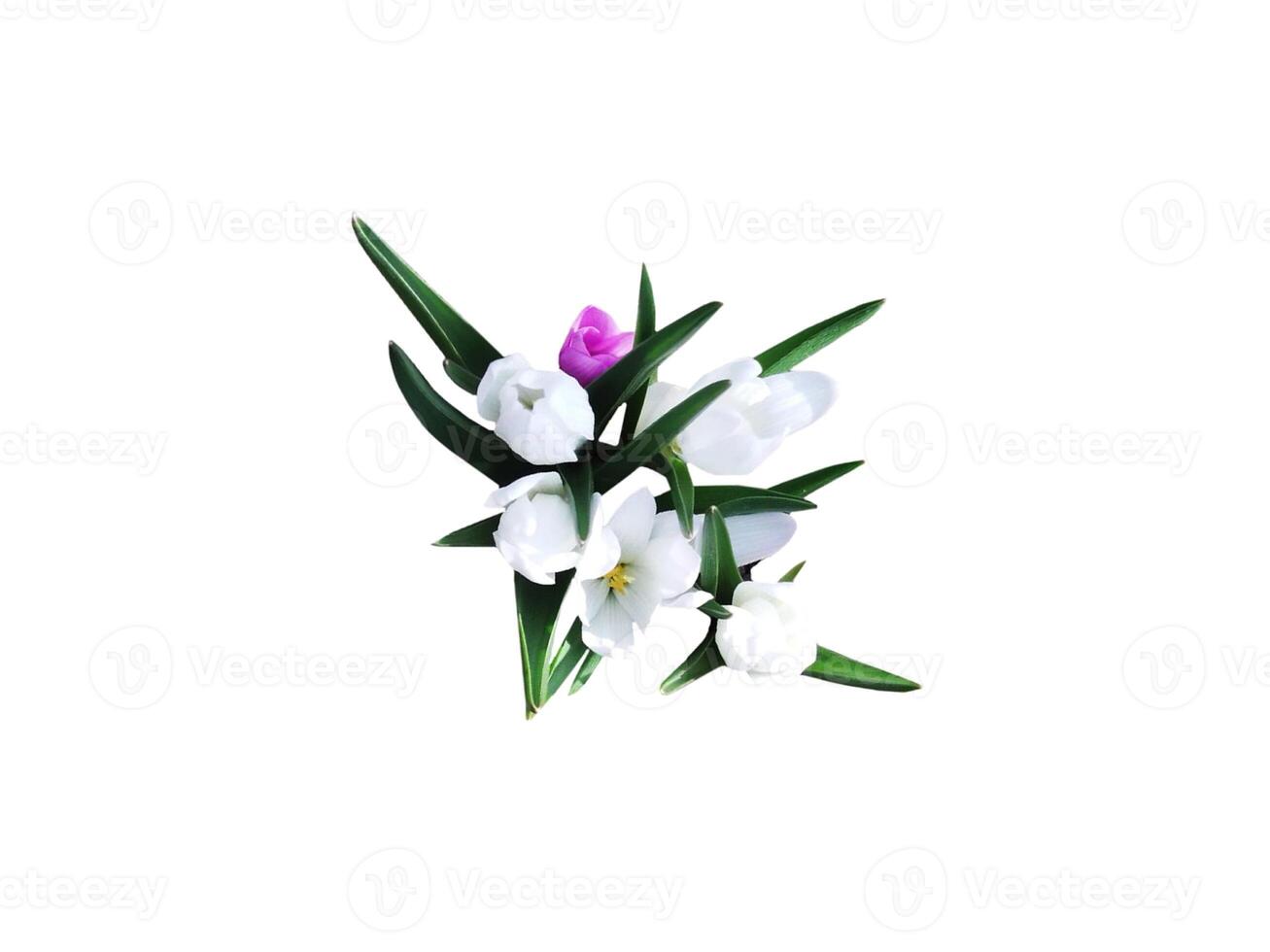 Bouquet of spring flowers on a white background photo