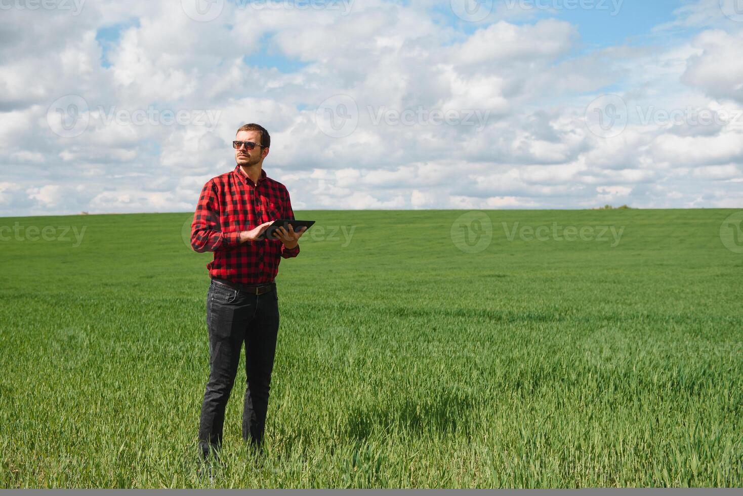 Young agronomist holds tablet touch pad computer in green wheat field. Agribusiness concept. agricultural engineer standing in a wheat field with a tablet in summer photo