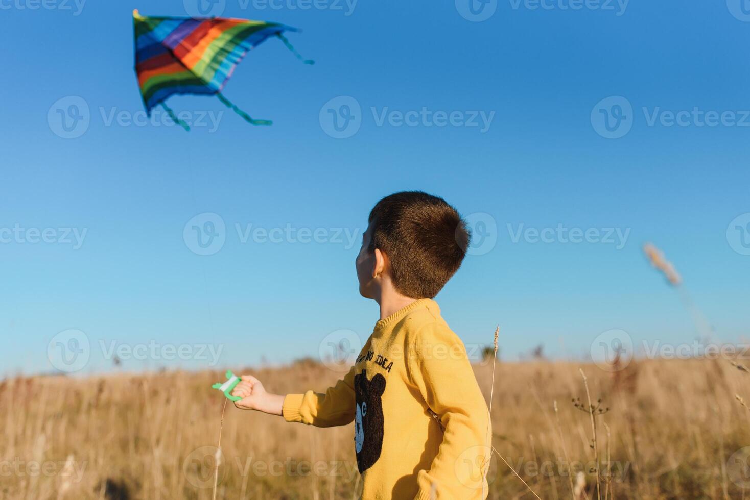 pequeño chico jugando con cometa en prado. infancia concepto foto