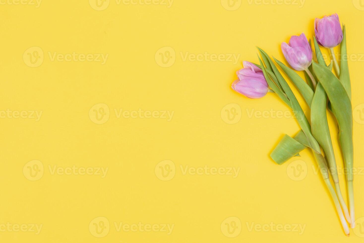 Fresh Spring Tulips Flowers Concept Woman's day Greeting Card Mother's Day Valentines Yellow Background Natural Light Selective Focus photo