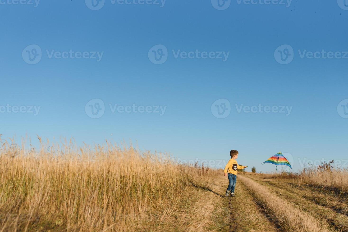 Happy child playing with a kite while running on meadow, sunset, in summer day. Funny time with family. Little boy launch a kite. photo