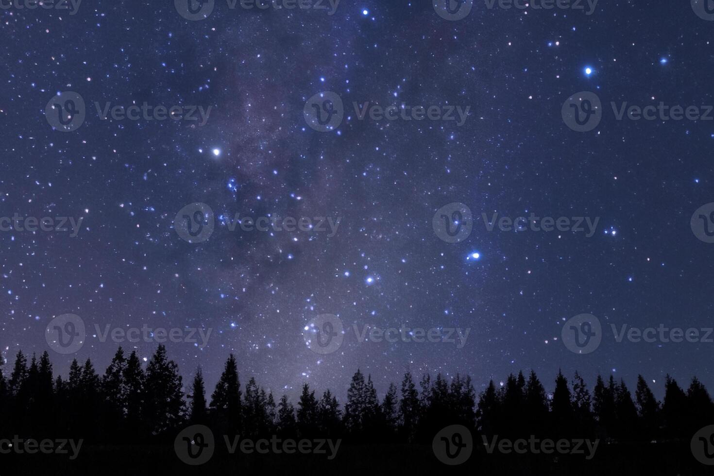 Mesmerizing Milky Way, Pine Tree Silhouette Against Dawn's Canvas. photo