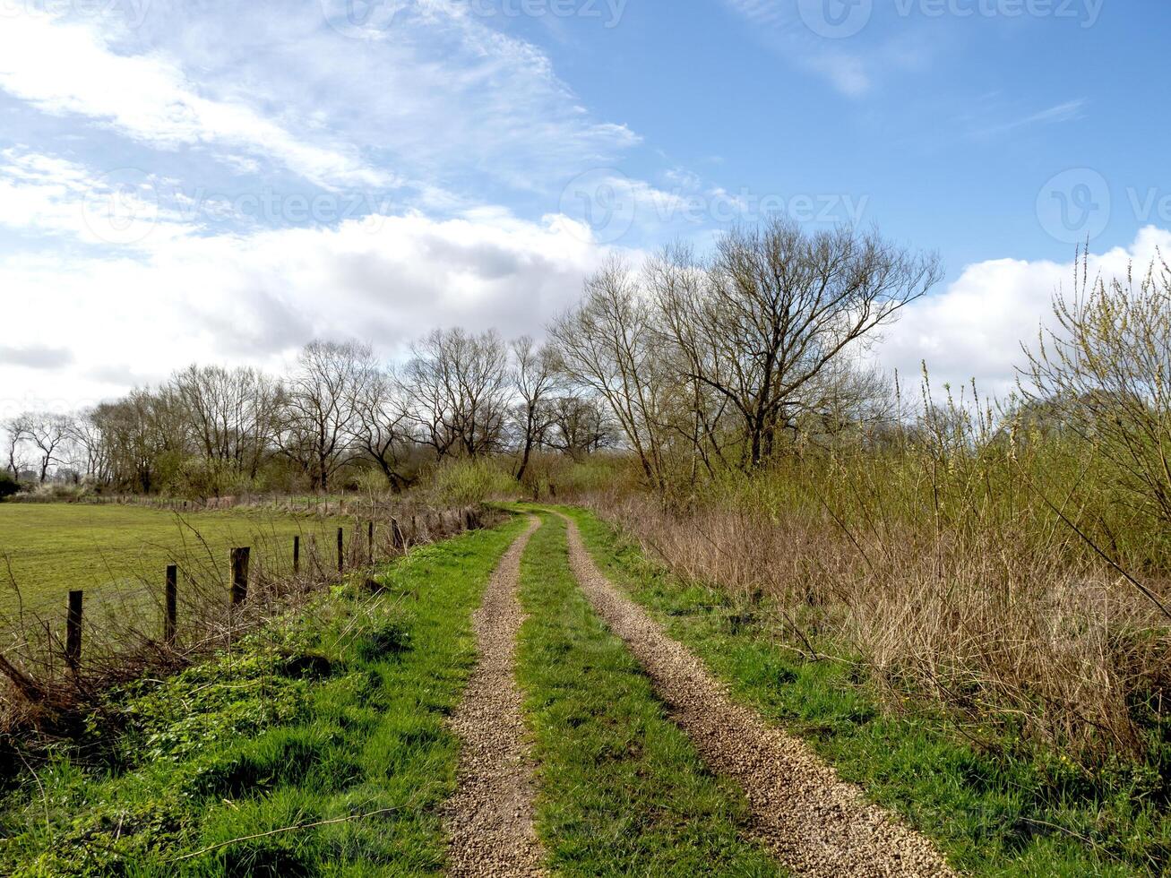 Trail beside a field with trees and a blue sky photo