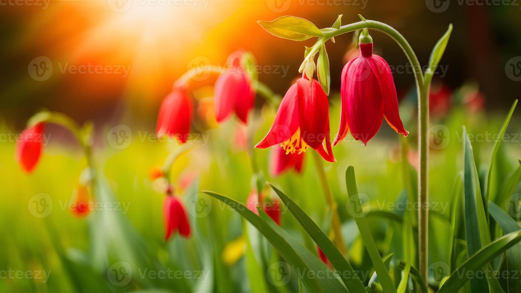 AI generated Beautiful bell flowers in sunrise garden, nature banner website photo