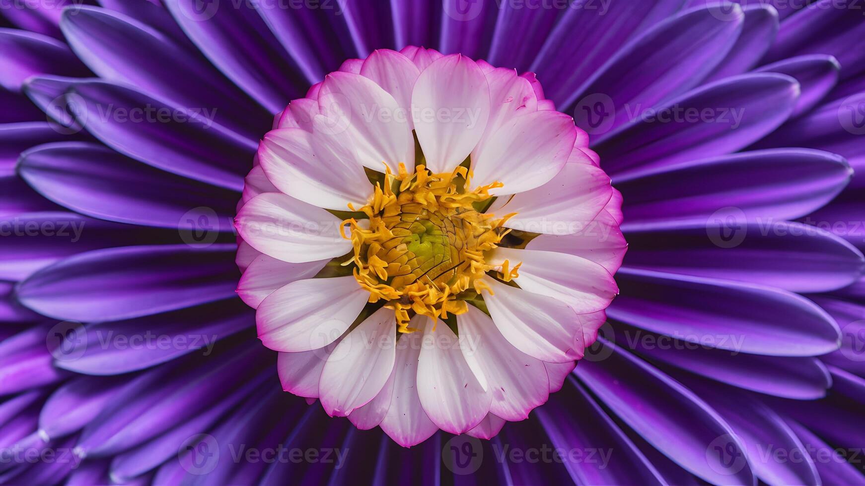 AI generated Beautiful flower macro shot with violet petals as backdrop photo