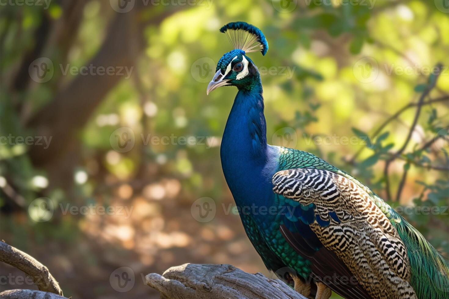 AI generated Side view of a peacock standing gracefully in the wild photo