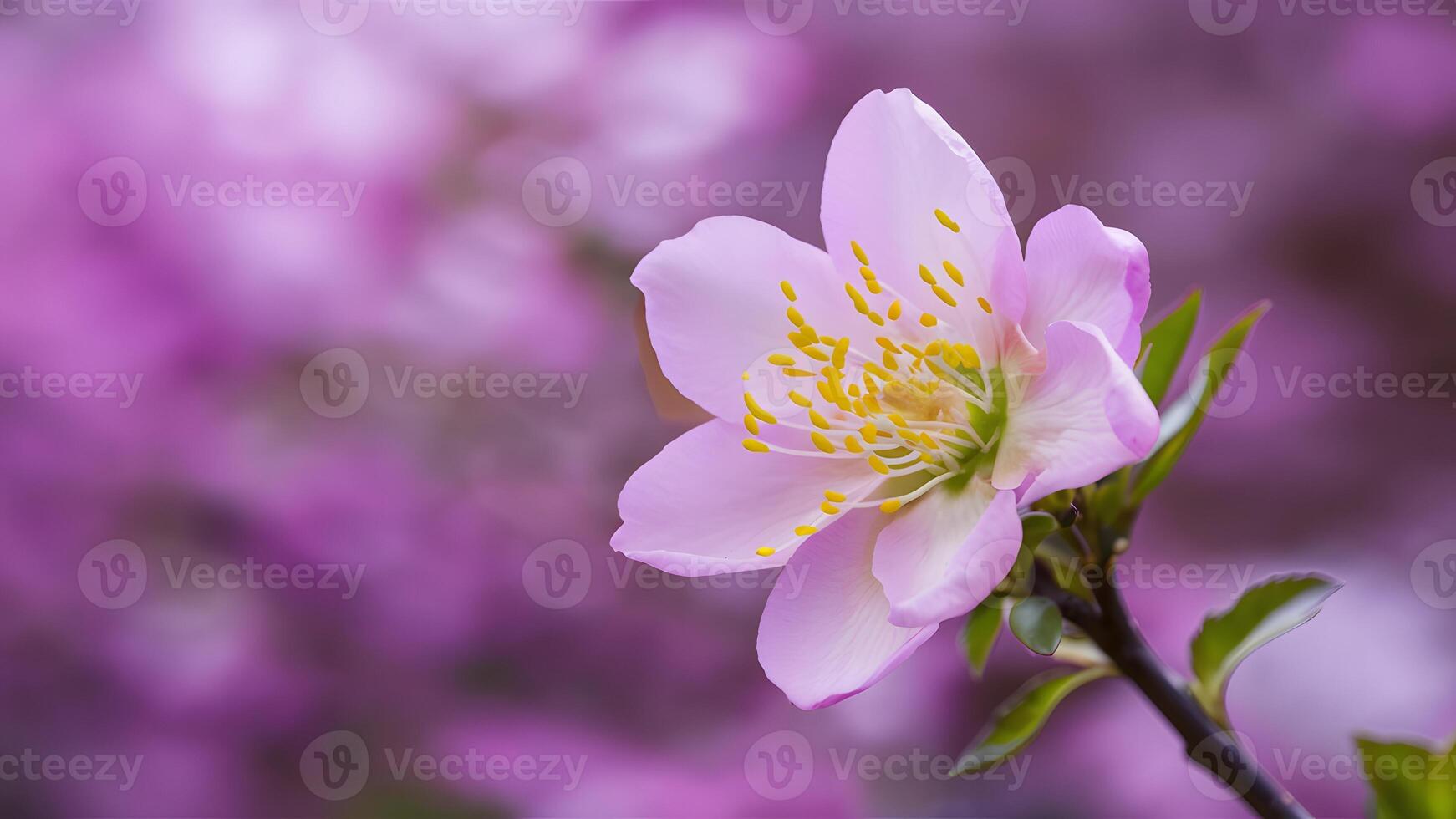 AI generated Spring flower blossom closeup with bokeh background, springtime nature photo