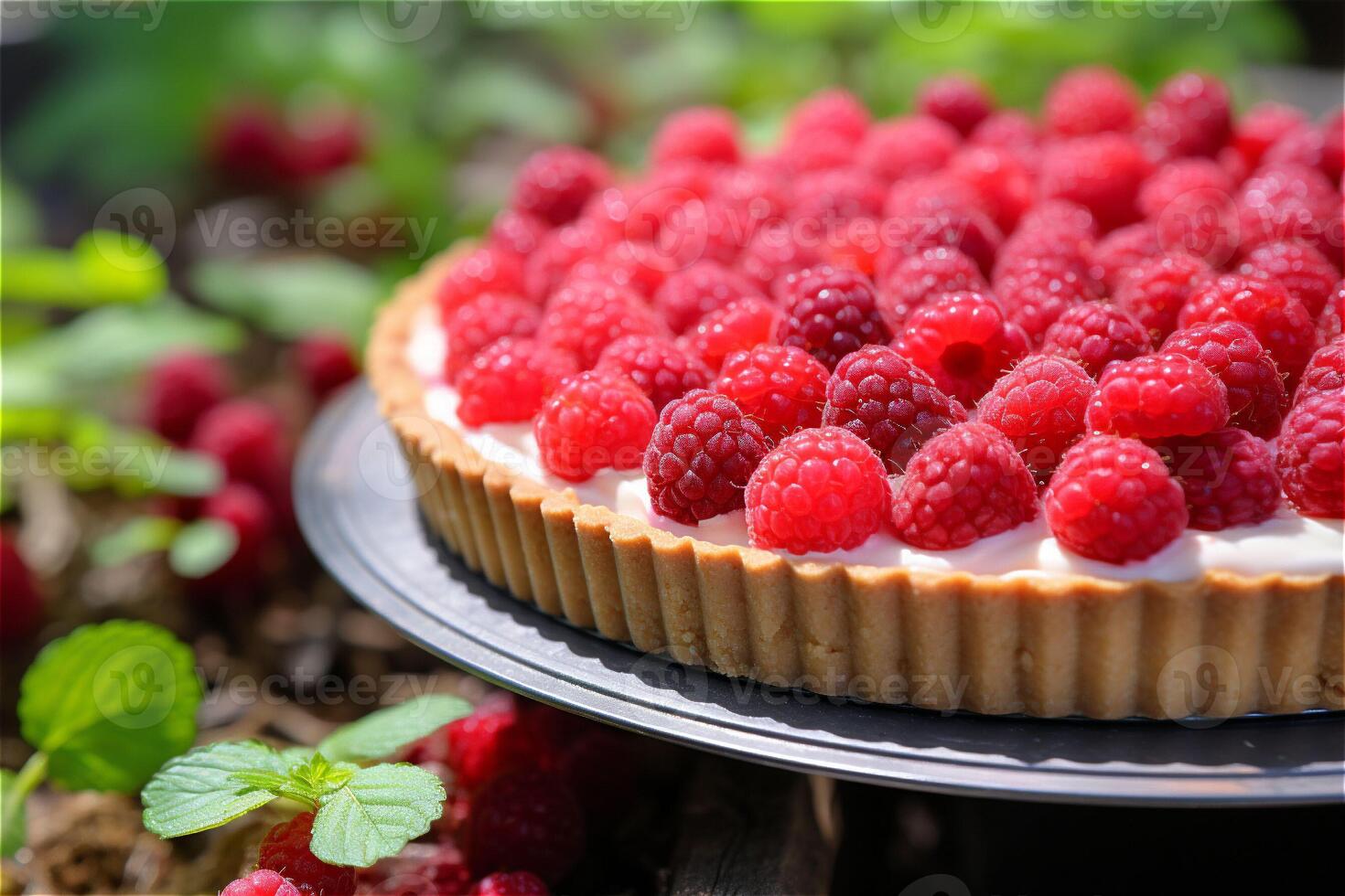 AI generated Delicious red raspberry tart with cream on a silver plate in a raspberry green field. Copy space. photo