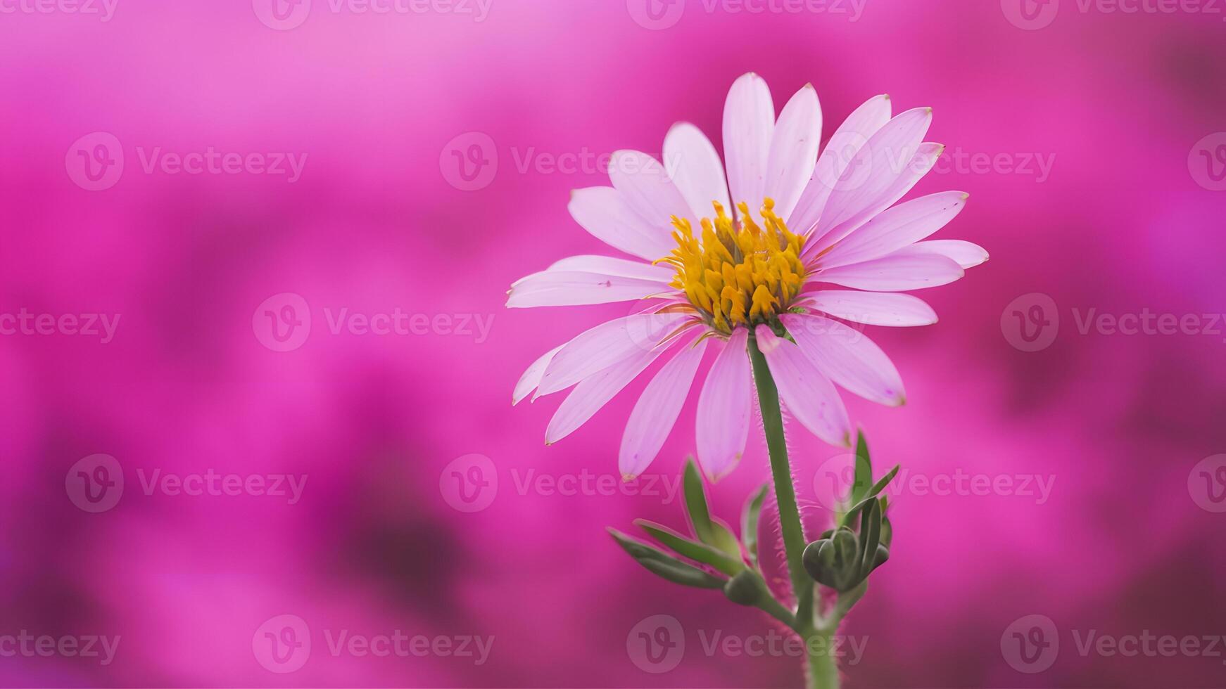 AI generated Publish Extreme closeup of soft focus beautiful nature on pink background photo