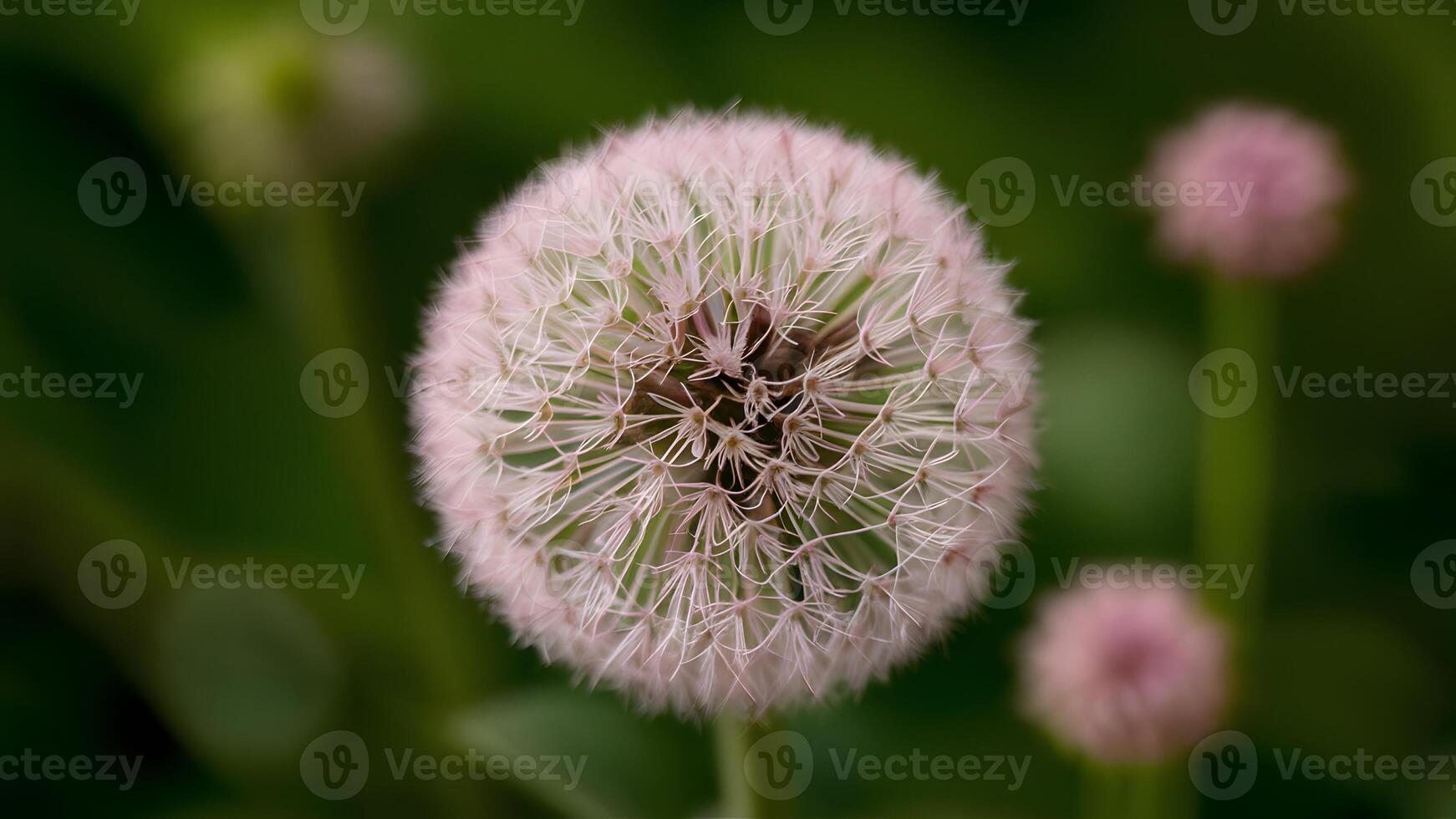 AI generated Tufts circle flower isolated on green background, beautiful photo