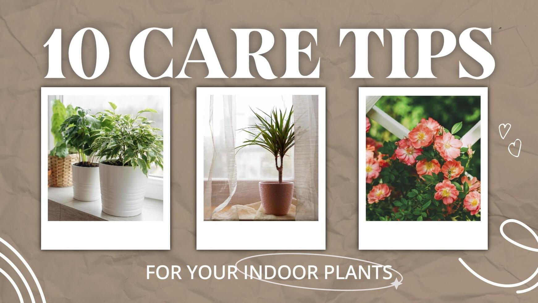 Plant Care Tips Youtube Thumbnail template