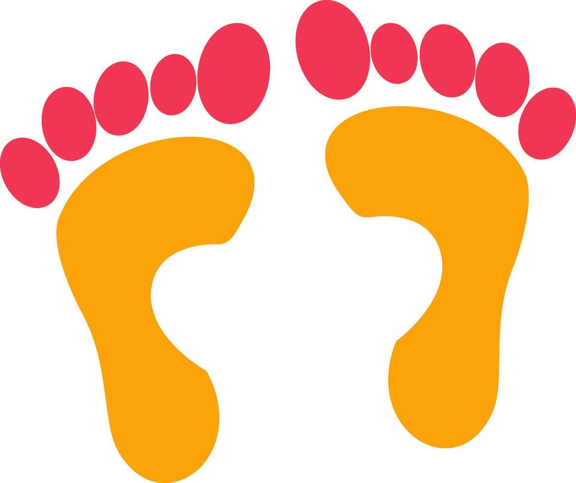 Foot X ray Vector Icon