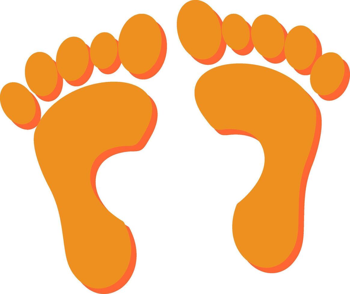 Foot X ray Vector Icon