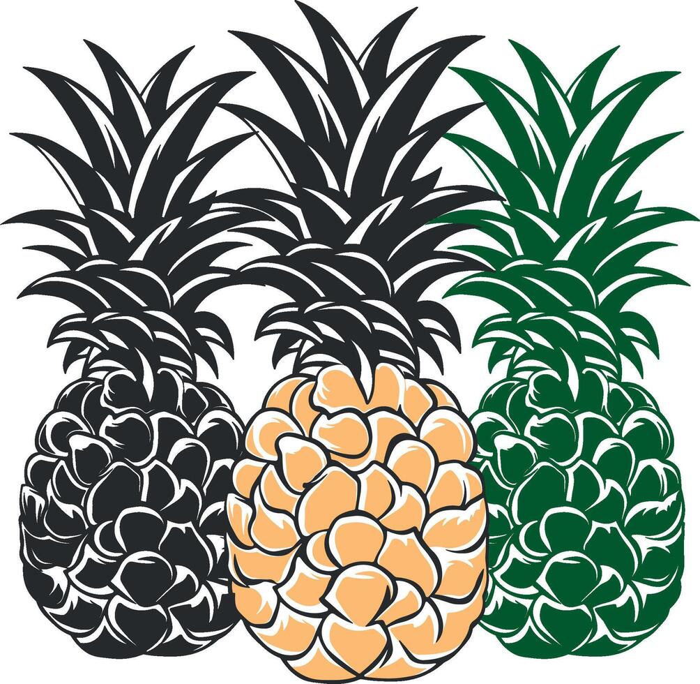 vector pineapple drawing without background