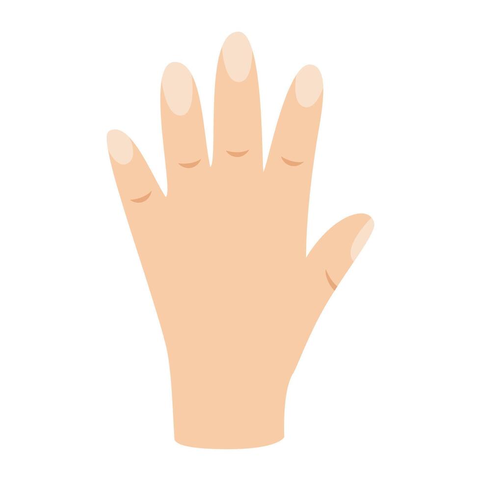 Vector illustration of cartoon hand isolated on white background.