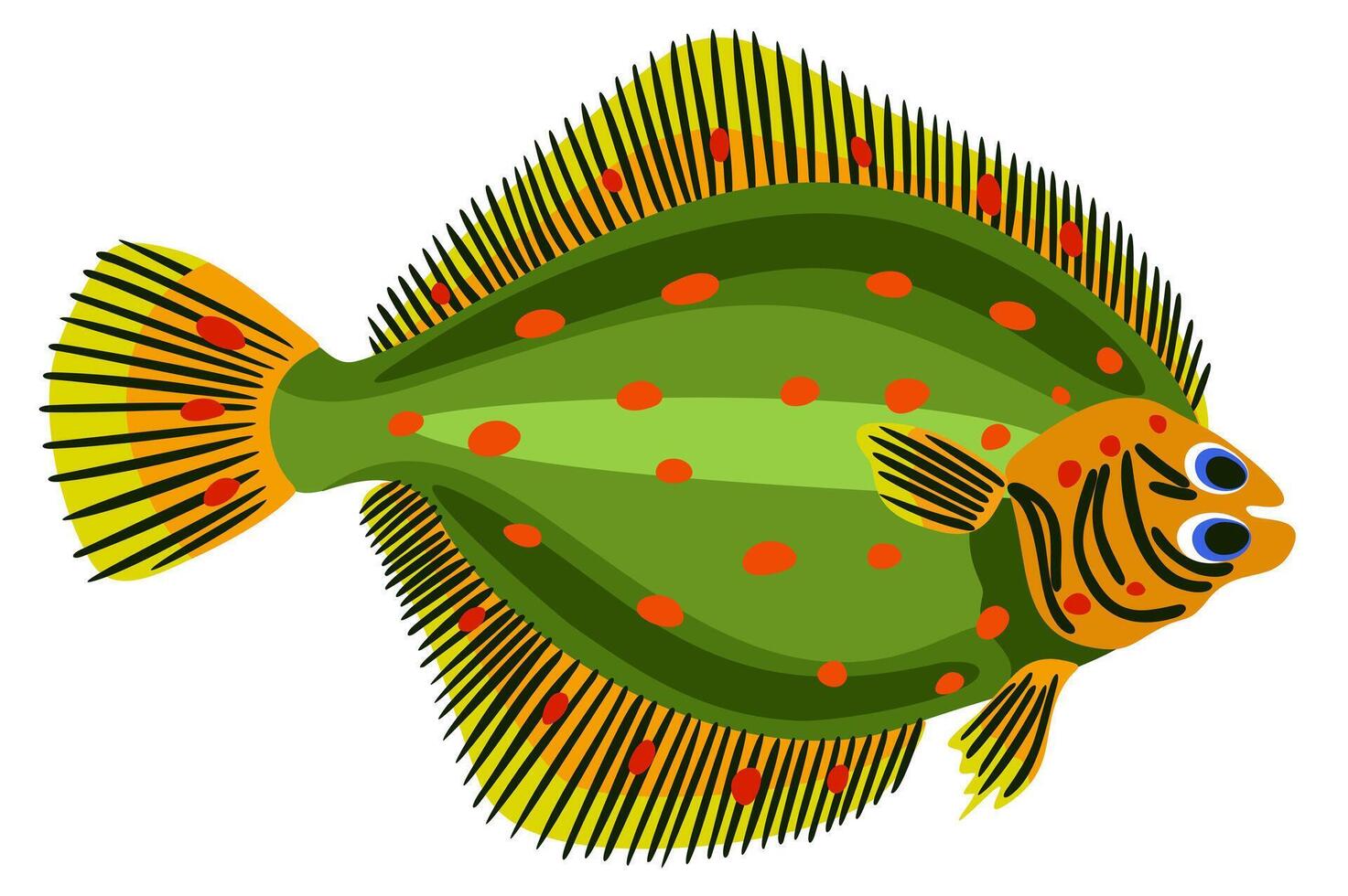 Plaice. Vector bright isolated illustration