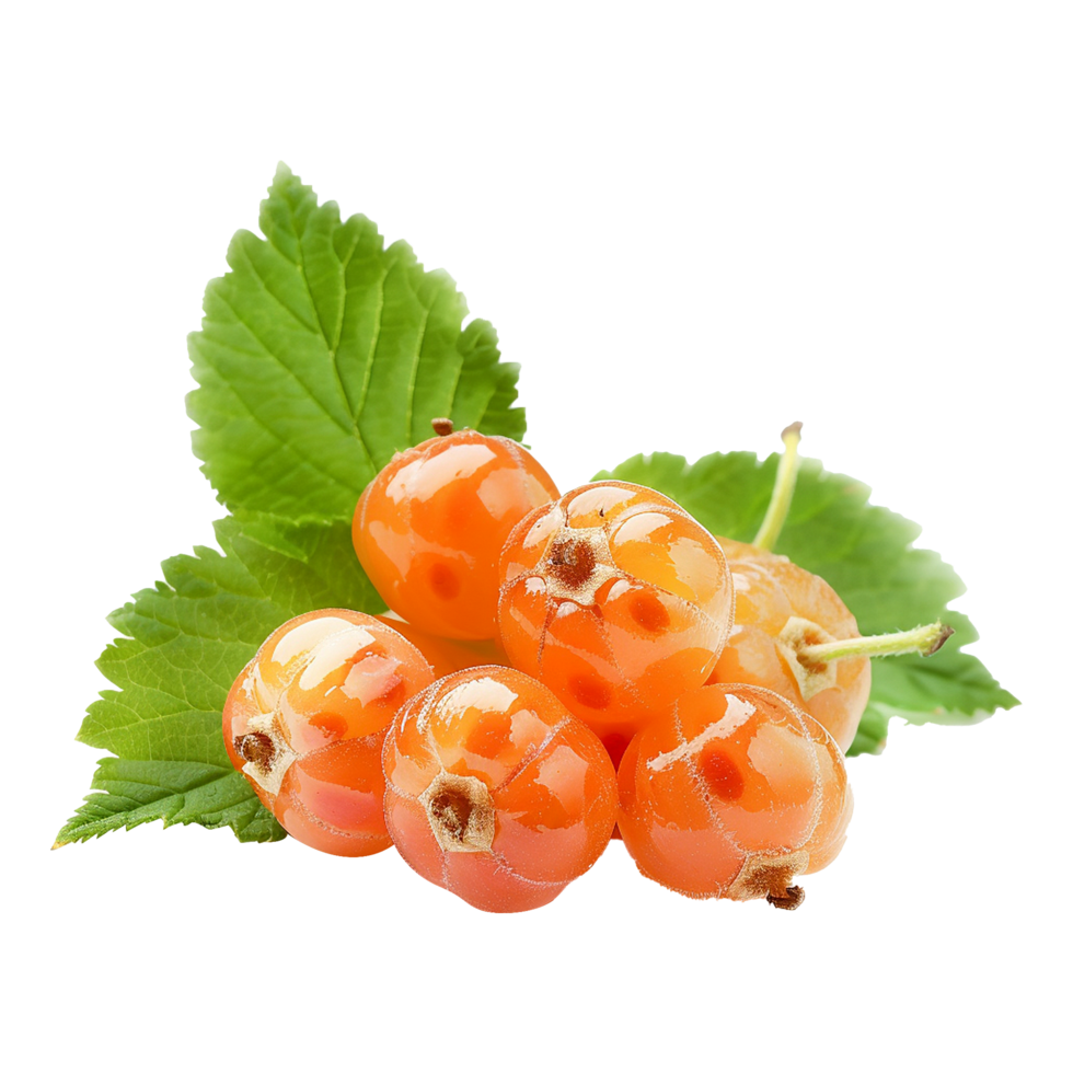 AI generated cloud berries isolated on transparent background png