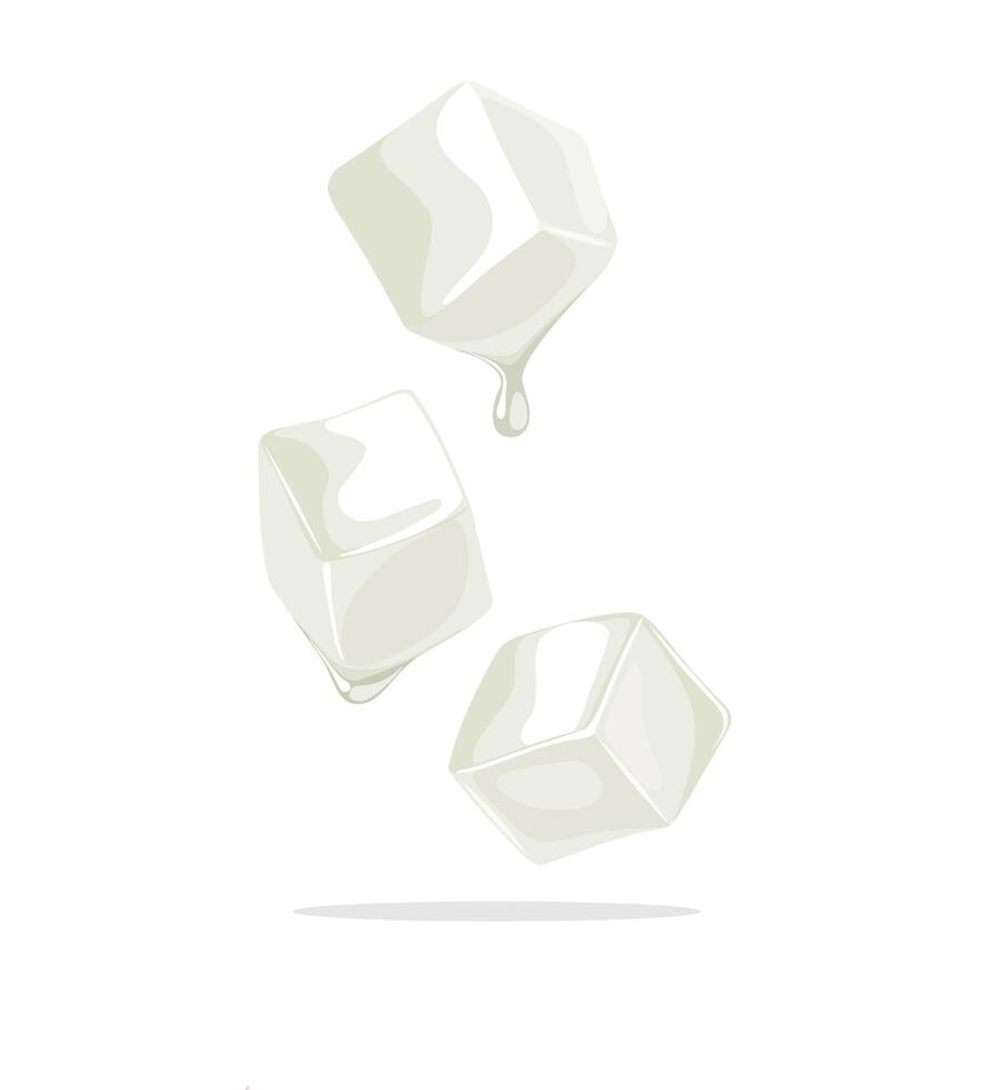 Vector illustration, nata de coco, isolated on white background.