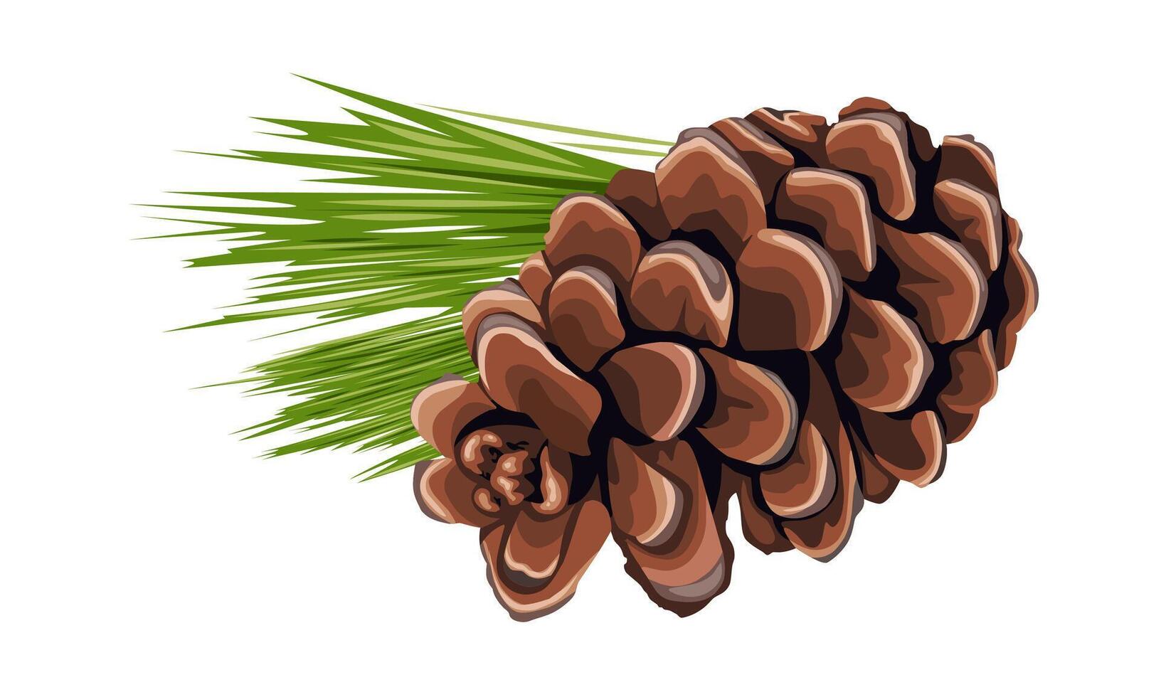 Vector illustration, pine cone with leaves, isolated white background.