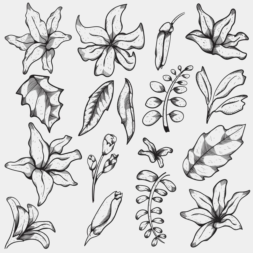 set line floral, vintage flower drawing suitable for vector design elements, wallpaper, wall art, patterns and backgrounds