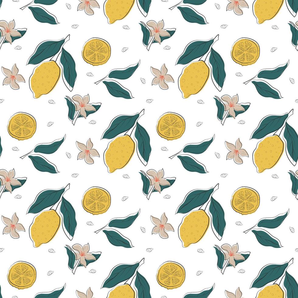 lemon doodle pattern vector