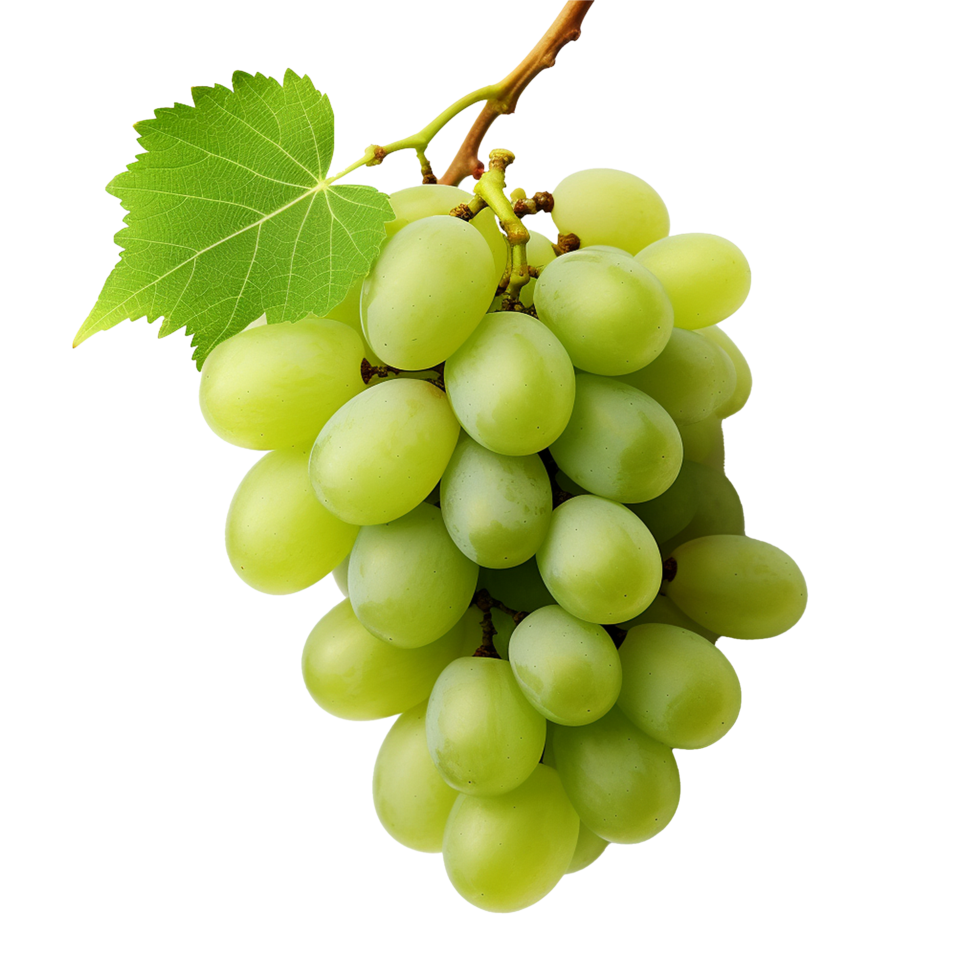 AI generated Green wine grape png isolated on transparent background