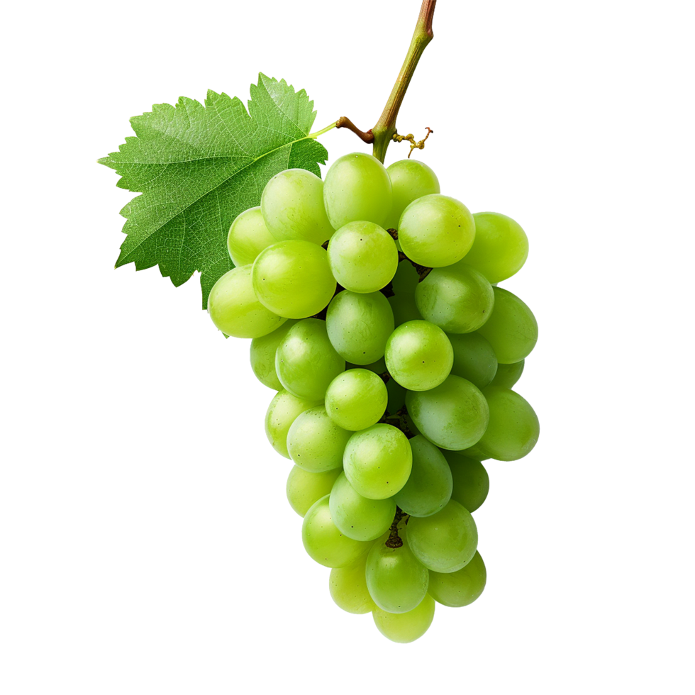 AI generated Green wine grape png isolated on transparent background