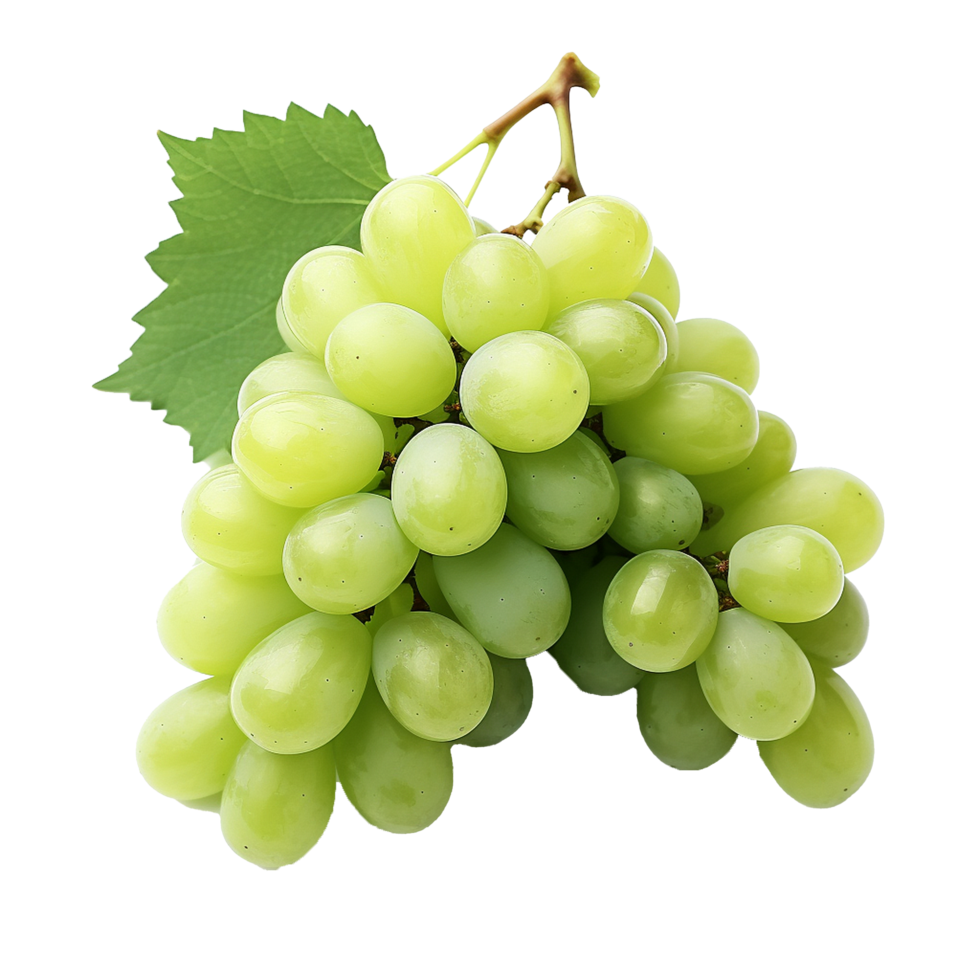 ai generato verde vino uva png isolato su trasparente sfondo