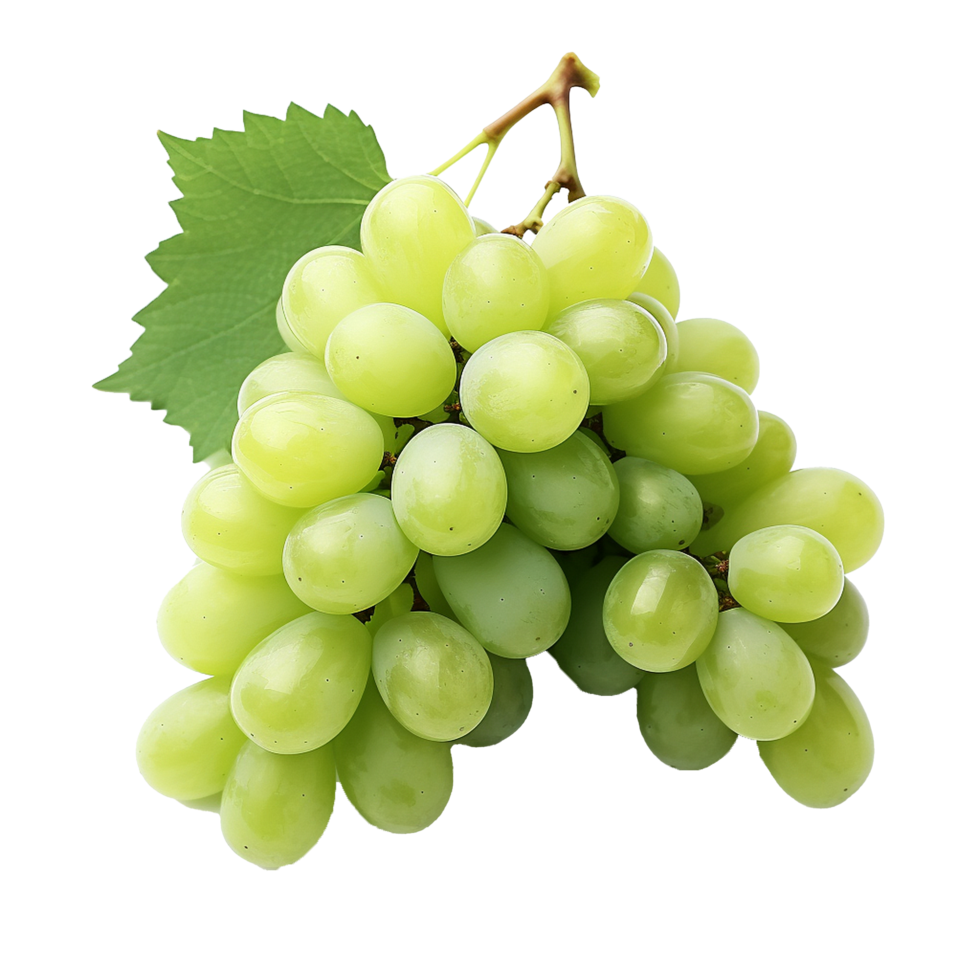 AI generated Green wine grape png isolated on transparent background