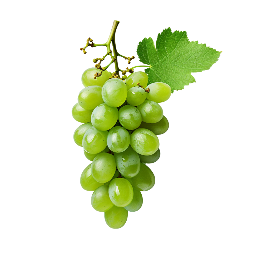 ai generato verde vino uva png isolato su trasparente sfondo