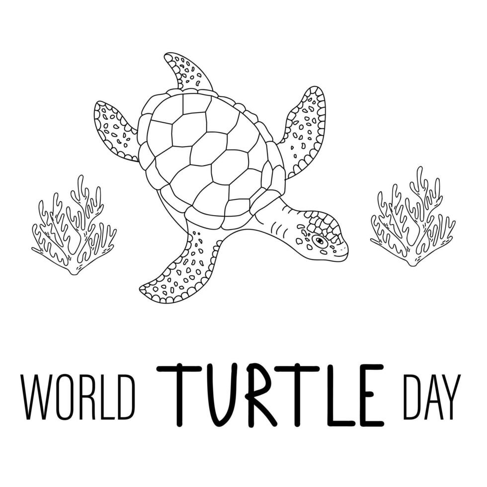 Outline drawing of turtle for Turtle day vector