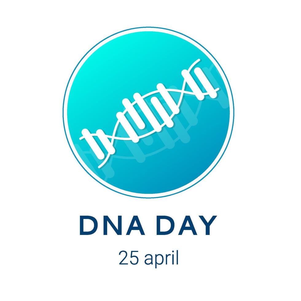 National DNA Day is April 25. Poster, banner with a picture of a DNA double helix and text. Flat vector illustration