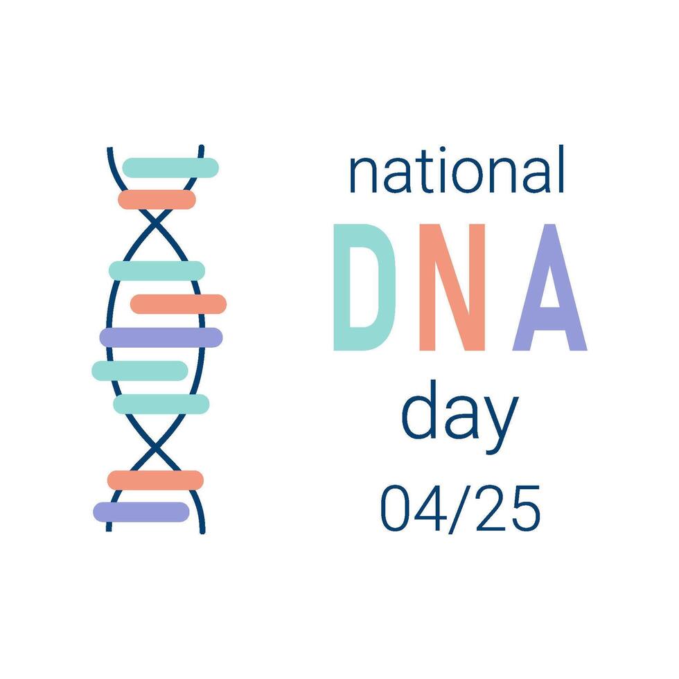 National DNA Day is April 25. Poster, banner with a picture of a DNA double helix and text. Flat vector illustration