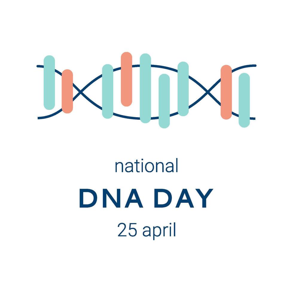 National DNA Day is April 25. Poster, banner with a picture of a DNA double helix and text. Flat vector illustration