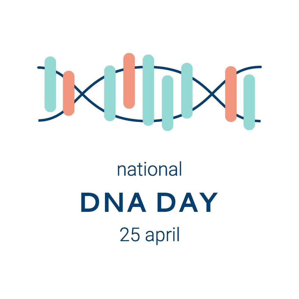 National DNA Day is April 25. Poster, banner with a picture of a DNA double helix and text. Flat vector illustration