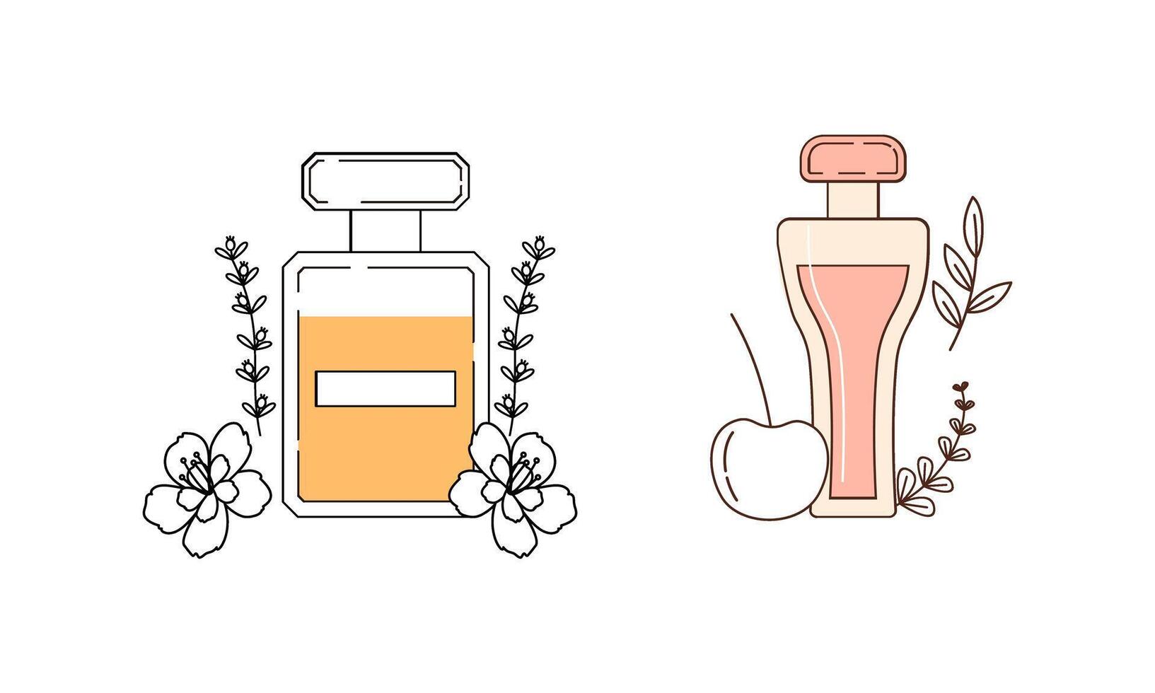 Set of different perfume bottles with ingredients vector