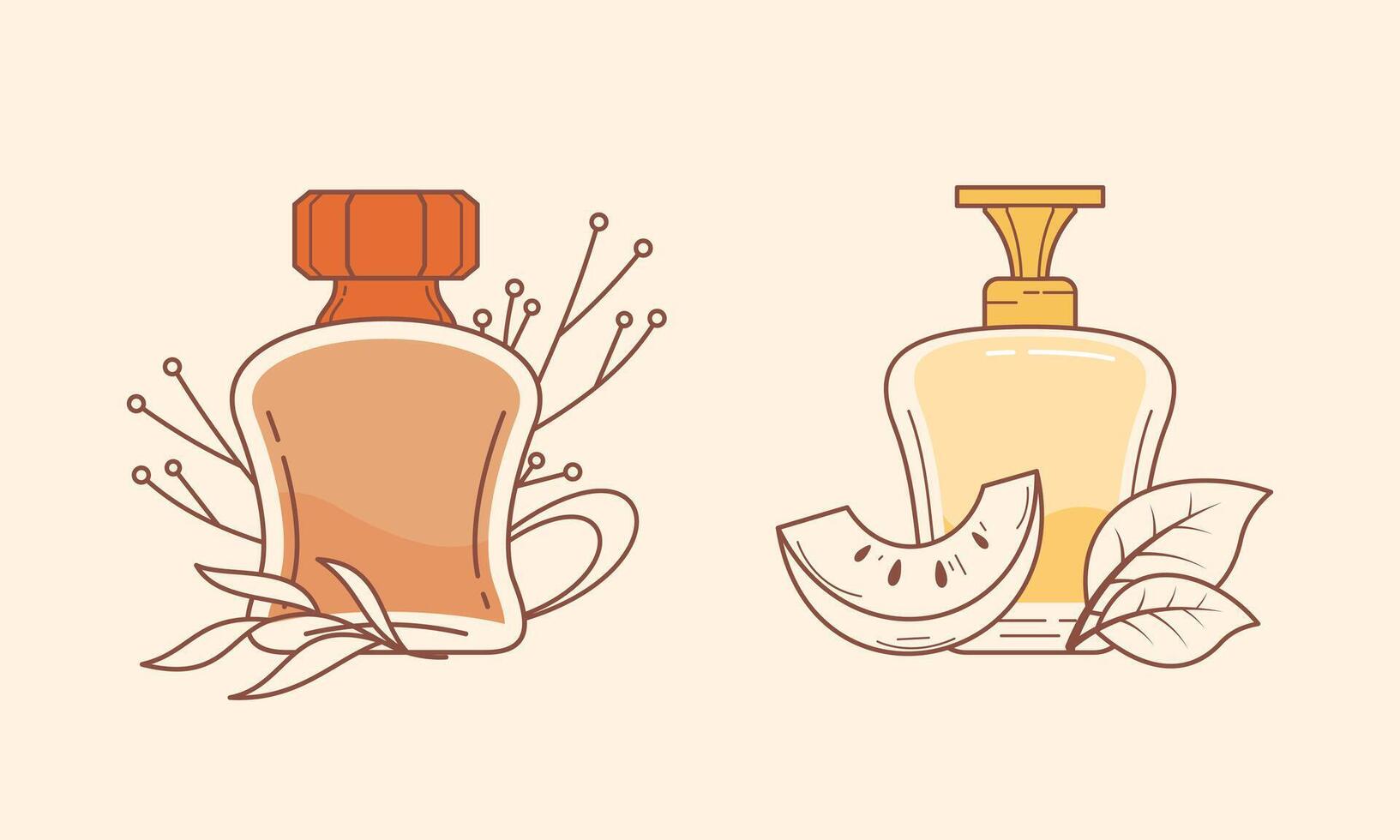 Set of different perfume bottles with ingredients vector