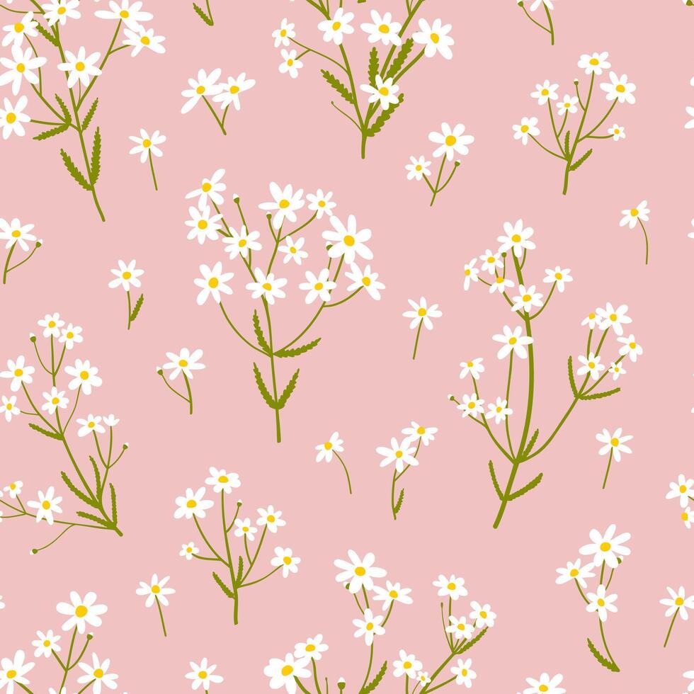 Seamless pattern with daisy flowers on a pink background. Abstract simple botanical design for wrapping paper, covers and fabric vector