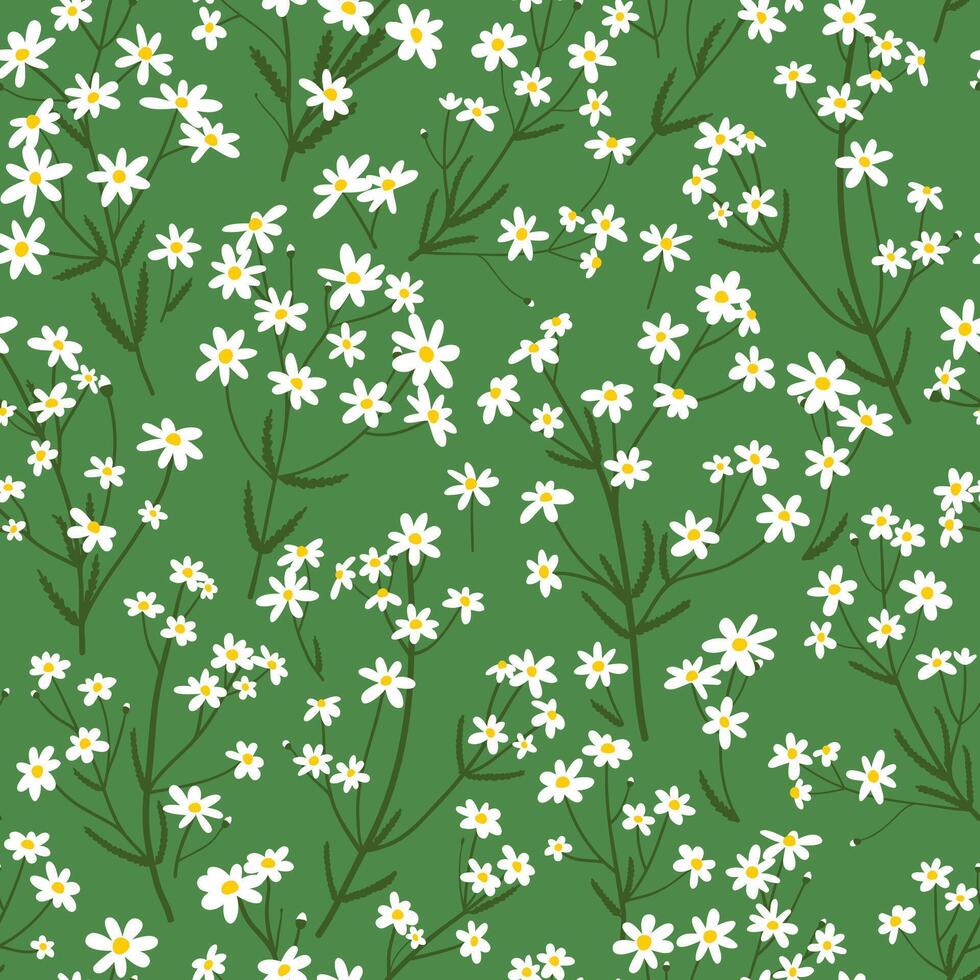 Floral seamless pattern with chamomile flowers on green background. Simple design for wrapping paper, covers and fabric vector