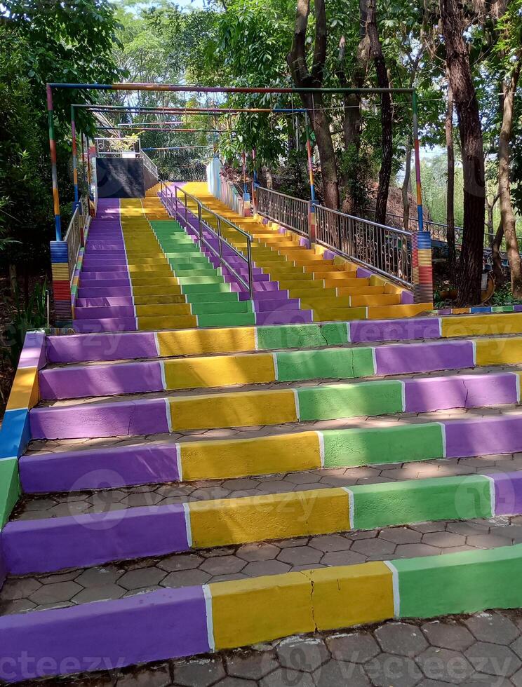 colorful stairs and trees photo