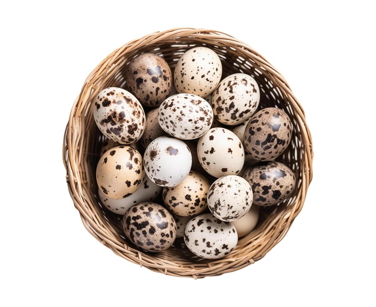 AI generated Isolated Quail eggs in a basket on white background. photo