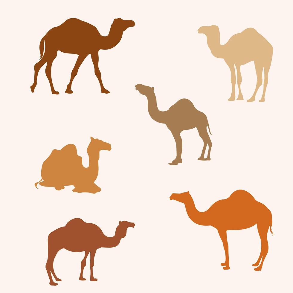 Colorful Camels Silhouettes Set vector