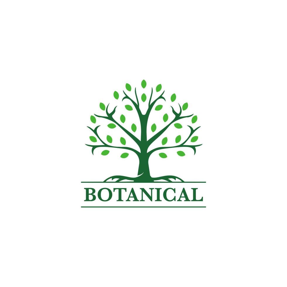 Abstract Tree of life logo icons set. Botanic plant nature symbols. vector