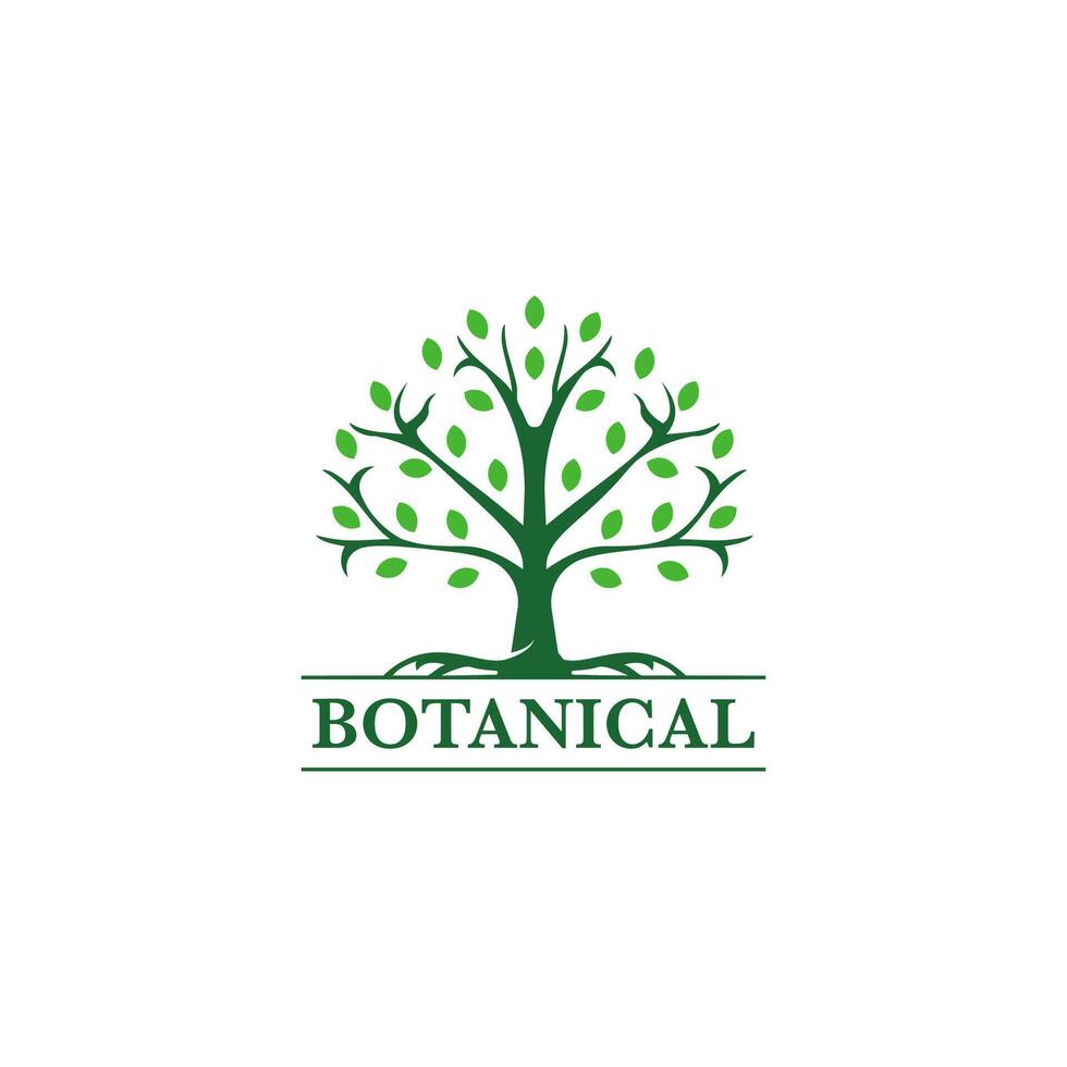 Abstract Tree of life logo icons set. Botanic plant nature symbols. vector