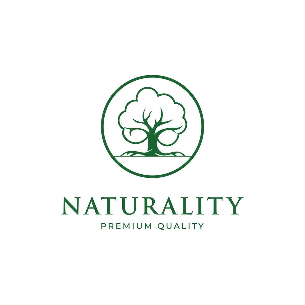 Abstract Tree of life logo icons set. Botanic plant nature symbols. vector