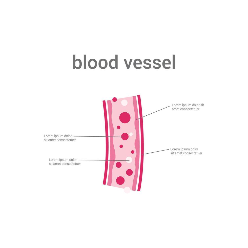 vector illustration of blood vessels concept design.