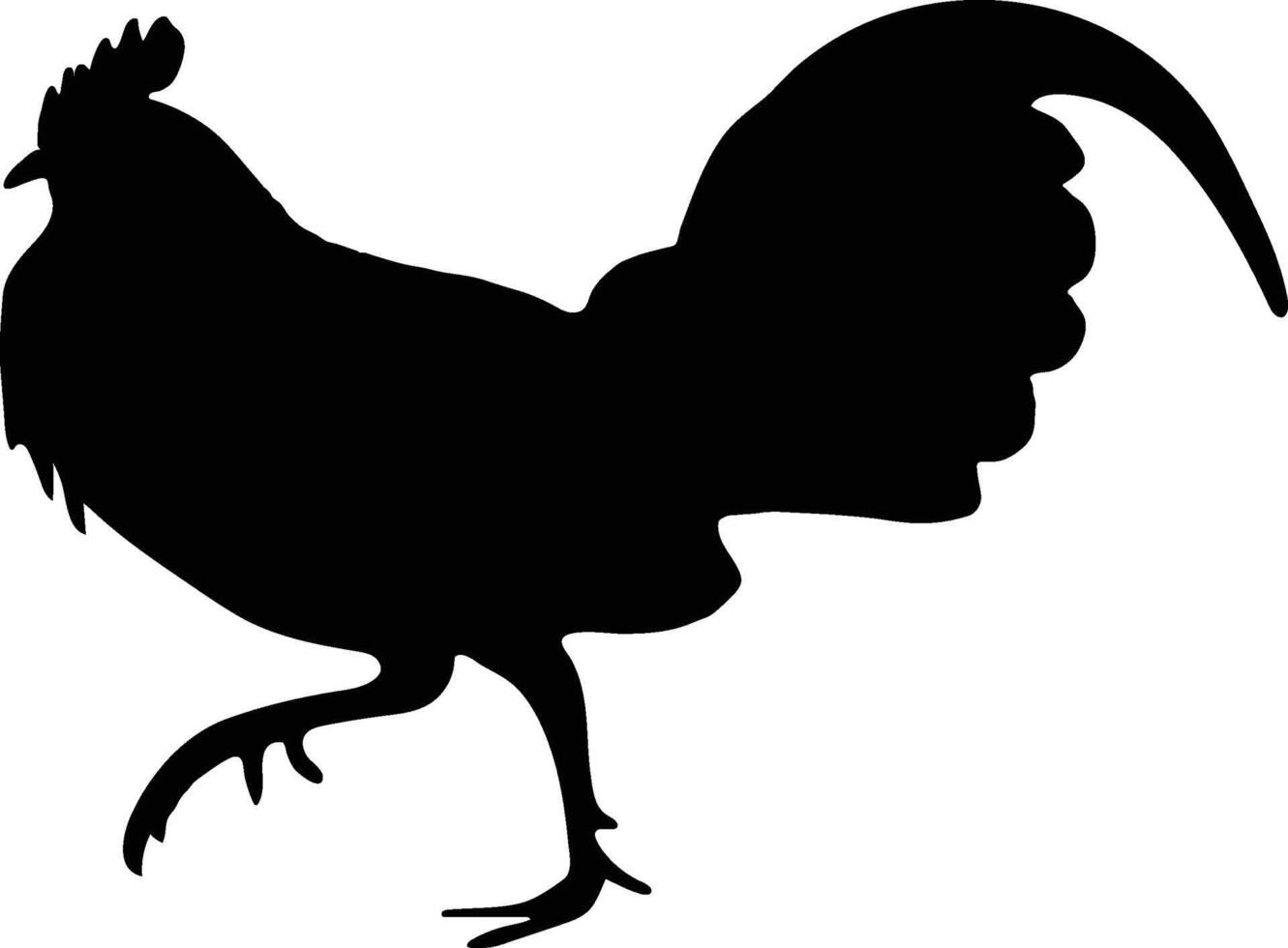 corriendo pollo gallo vector o silueta
