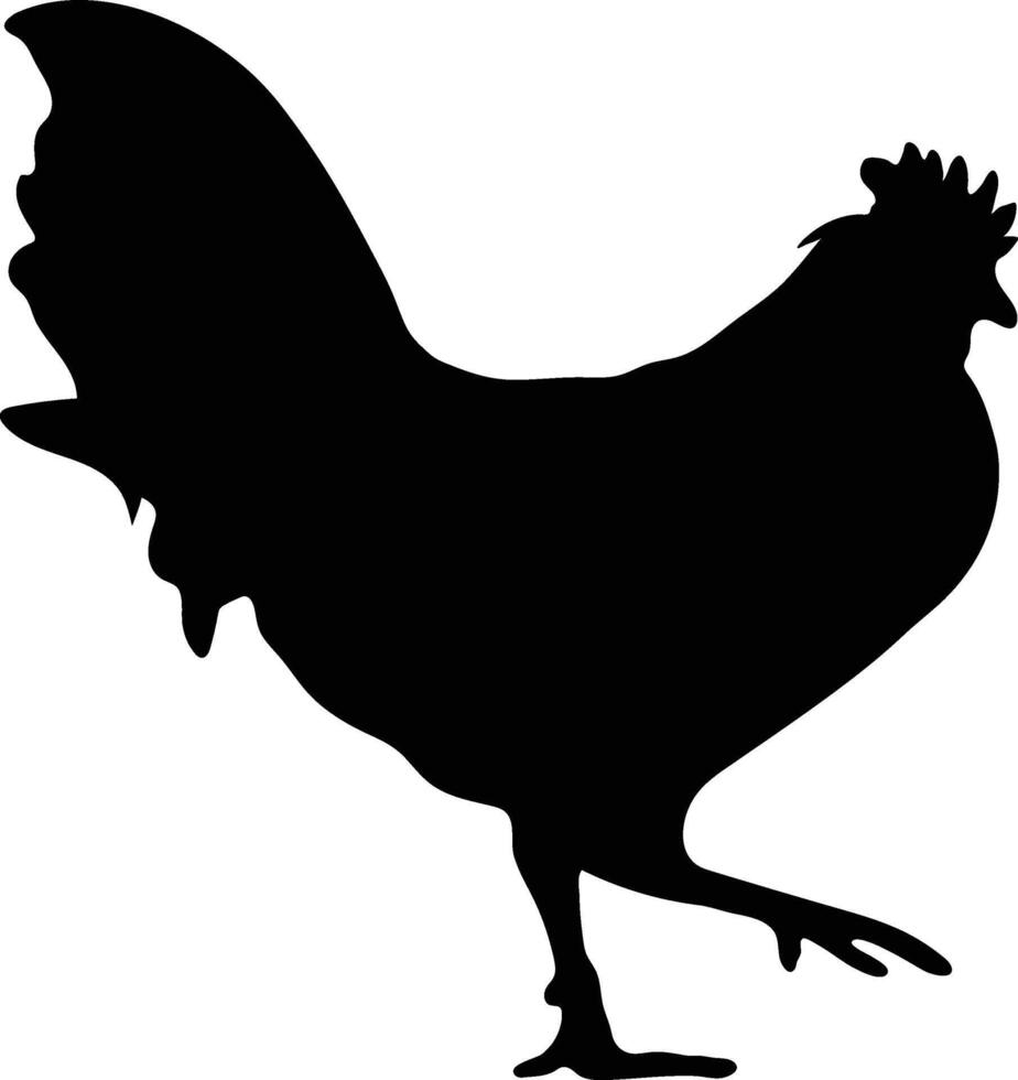 Running chicken rooster vector or silhouette