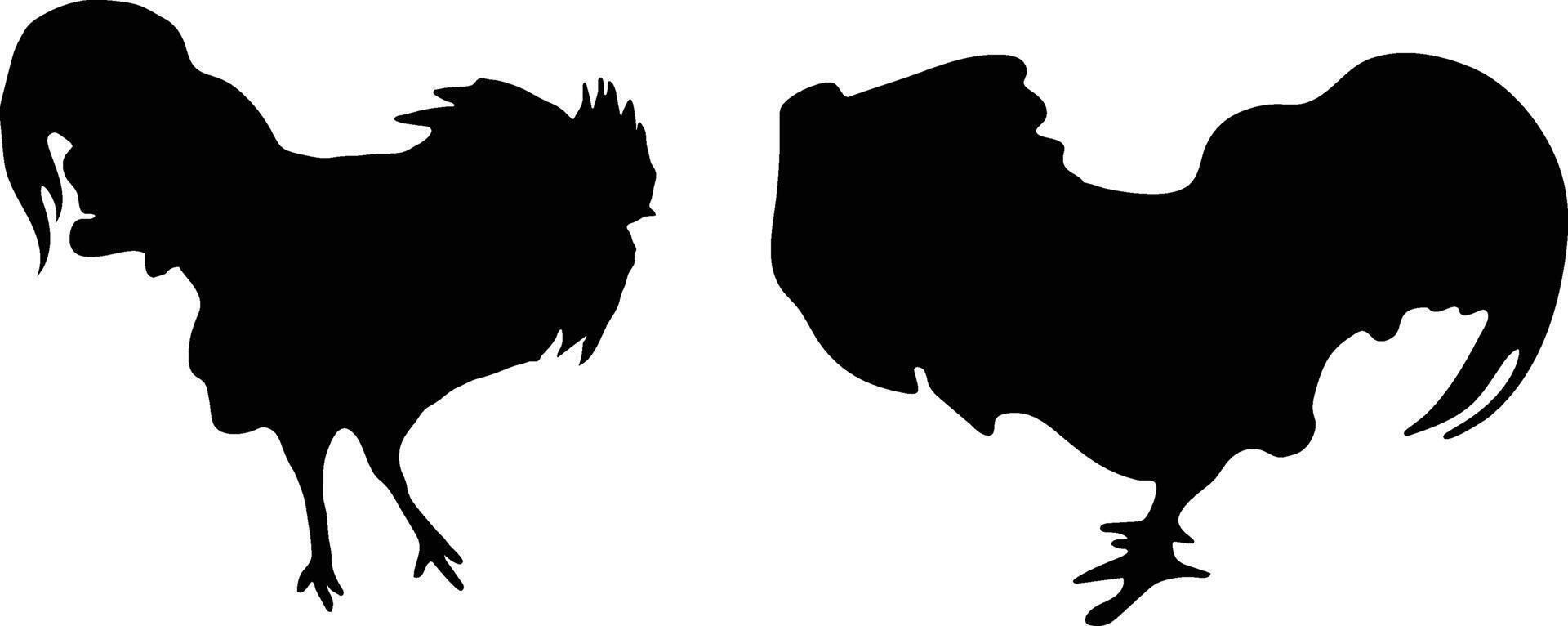 Fighting Rooster chicken vector